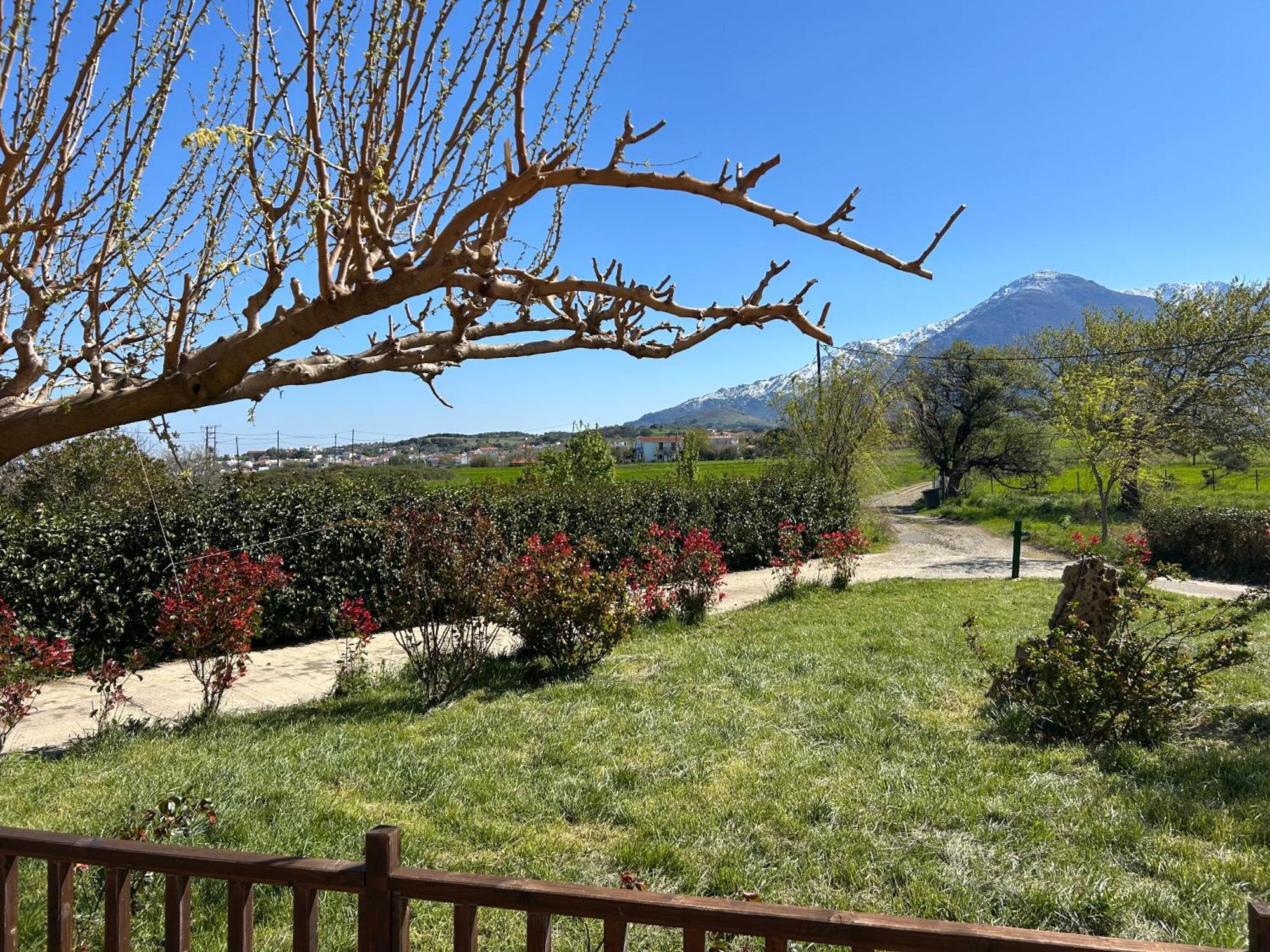 Akrotiri Studios Samothraki Bagian luar foto